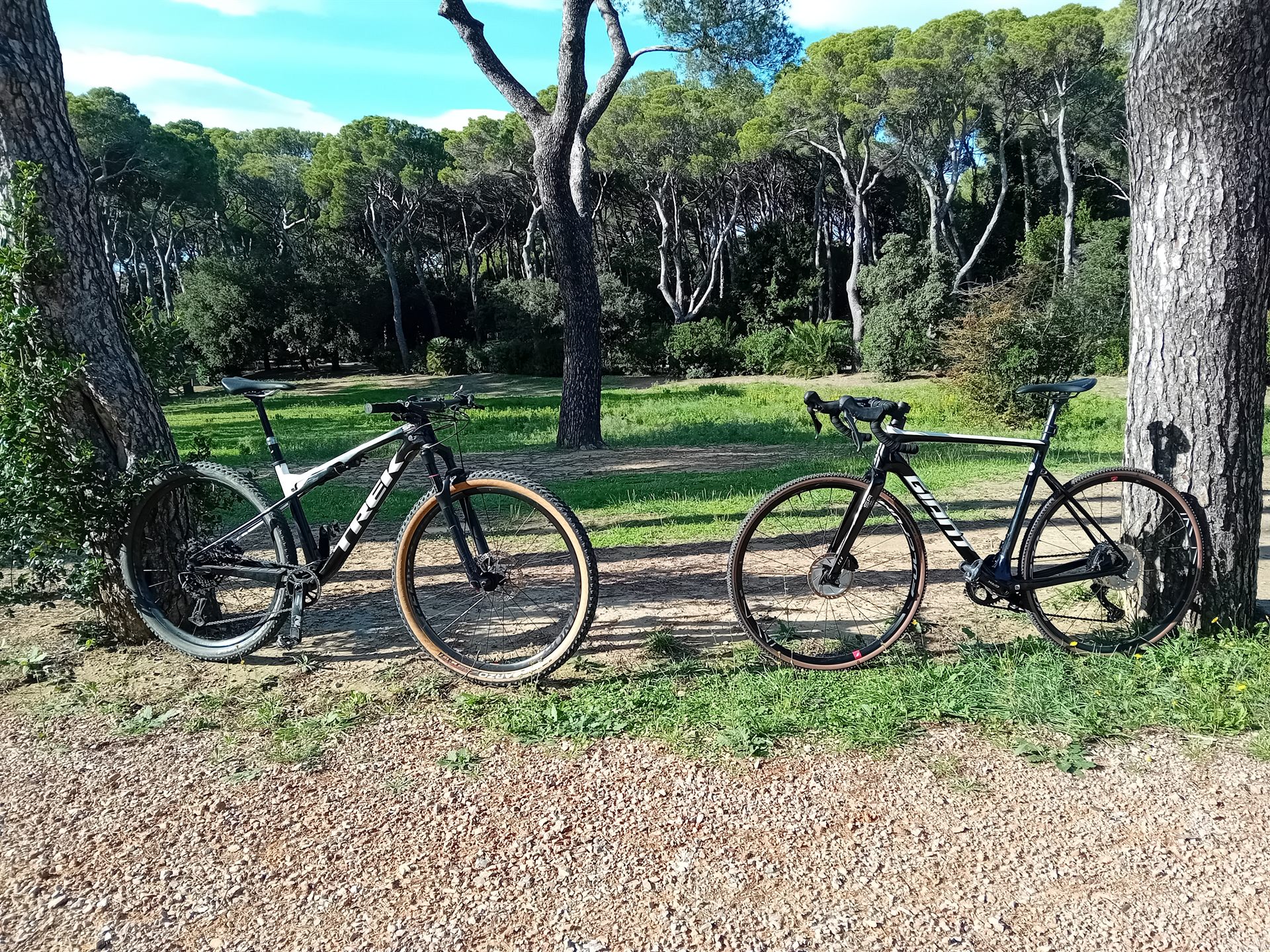 Scoli Racing Team foto 1